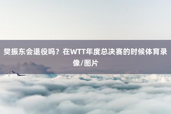 樊振东会退役吗？在WTT年度总决赛的时候体育录像/图片