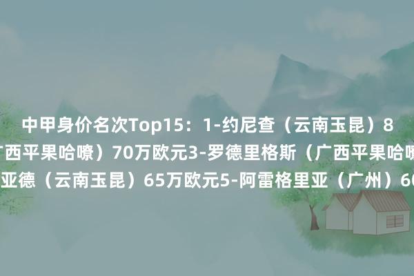 中甲身价名次Top15：1-约尼查（云南玉昆）80万欧元2-马克斯 （广西平果哈嘹）70万欧元3-罗德里格斯（广西平果哈嘹）70万欧元4-拉布亚德（云南玉昆）65万欧元5-阿雷格里亚（广州）60万欧元6-贝尼亚罗萨（广州）50万欧元7-科特尼克（大连英博）50万欧元8-赫维尔（广西平果哈嘹）45万欧元9-安以恩（辽宁铁东谈主）45万欧元10-向余望（重庆铜梁龙）45万欧元11-国本宜裕（辽宁铁东谈主）45万欧元12-毛伟杰（大连英博）40万欧元13-卡洛斯（辽宁铁东谈主）40万欧元14-萨达乌斯卡斯（广州）35万欧元15-塔贝克（重庆铜梁龙）35万欧元    体育赛事直播