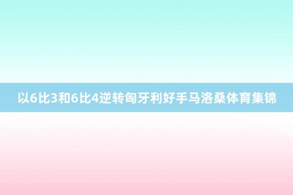 以6比3和6比4逆转匈牙利好手马洛桑体育集锦