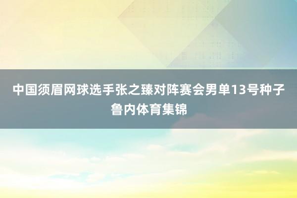 中国须眉网球选手张之臻对阵赛会男单13号种子鲁内体育集锦