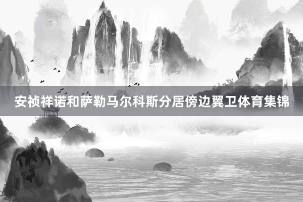 安祯祥诺和萨勒马尔科斯分居傍边翼卫体育集锦
