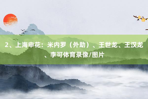 2、上海申花：米内罗（外助）、王世龙、王汉龙、李可体育录像/图片