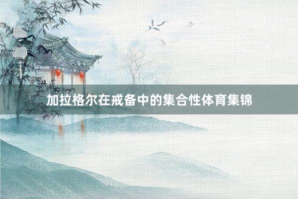 加拉格尔在戒备中的集合性体育集锦