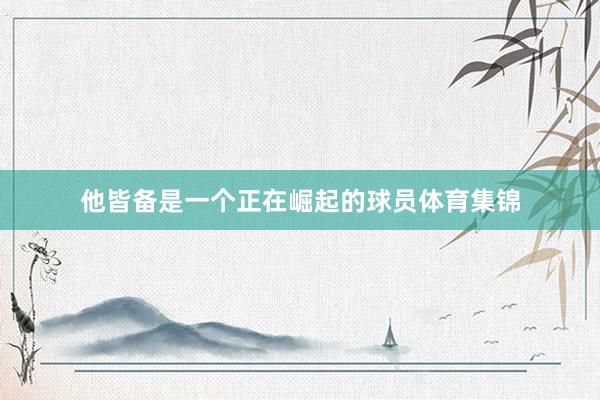 他皆备是一个正在崛起的球员体育集锦