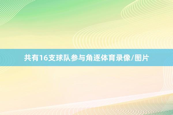 共有16支球队参与角逐体育录像/图片