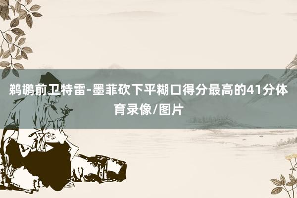 鹈鹕前卫特雷-墨菲砍下平糊口得分最高的41分体育录像/图片