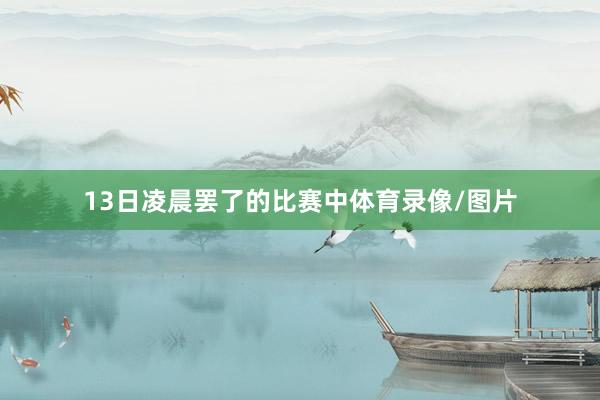 13日凌晨罢了的比赛中体育录像/图片