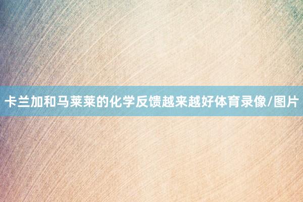 卡兰加和马莱莱的化学反馈越来越好体育录像/图片