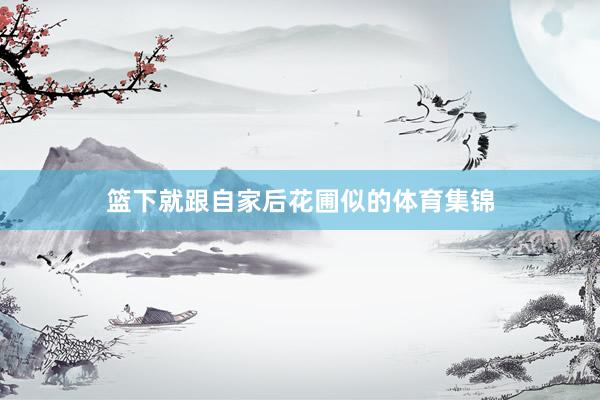 篮下就跟自家后花圃似的体育集锦