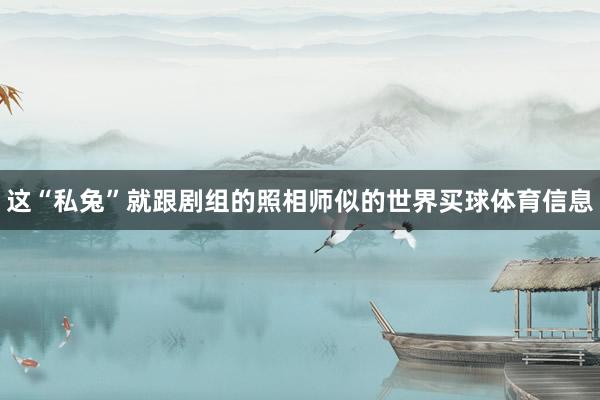 这“私兔”就跟剧组的照相师似的世界买球体育信息