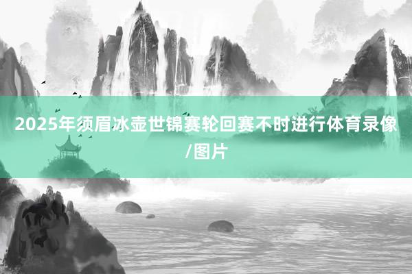 2025年须眉冰壶世锦赛轮回赛不时进行体育录像/图片