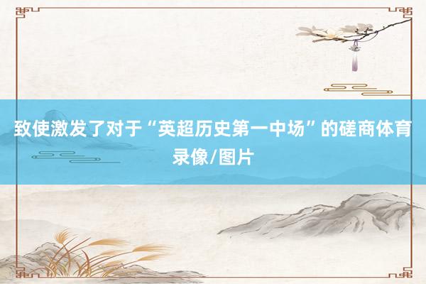 致使激发了对于“英超历史第一中场”的磋商体育录像/图片