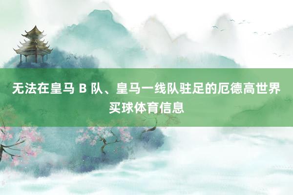 无法在皇马 B 队、皇马一线队驻足的厄德高世界买球体育信息