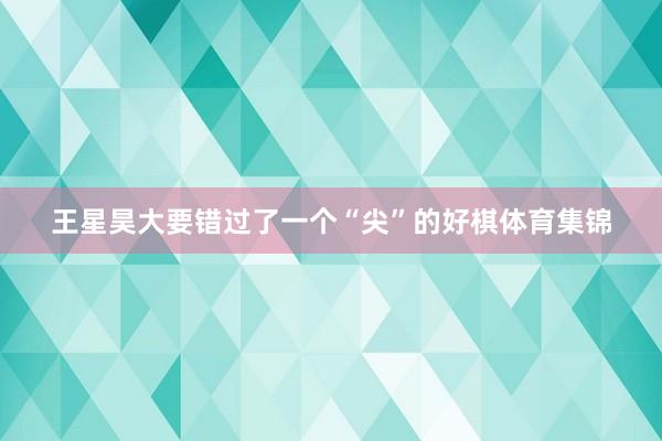 王星昊大要错过了一个“尖”的好棋体育集锦