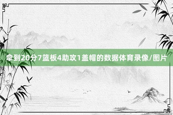 拿到20分7篮板4助攻1盖帽的数据体育录像/图片
