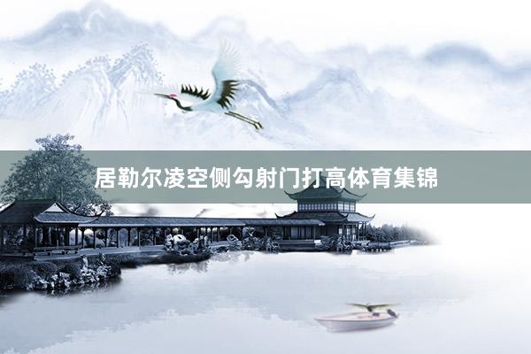 居勒尔凌空侧勾射门打高体育集锦