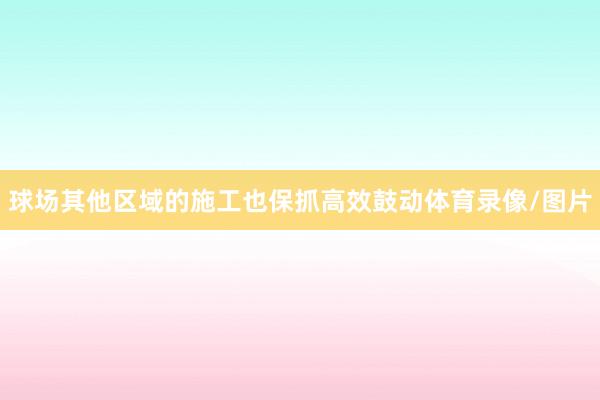 球场其他区域的施工也保抓高效鼓动体育录像/图片
