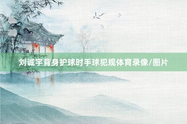 刘诚宇背身护球时手球犯规体育录像/图片