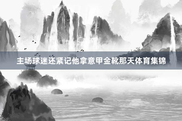 主场球迷还紧记他拿意甲金靴那天体育集锦