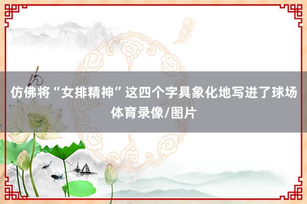 仿佛将“女排精神”这四个字具象化地写进了球场体育录像/图片