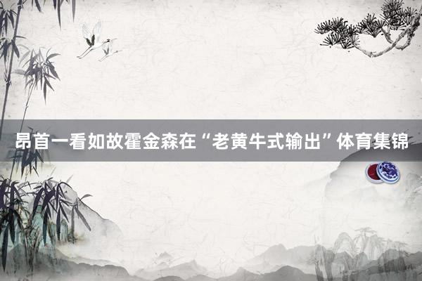 昂首一看如故霍金森在“老黄牛式输出”体育集锦
