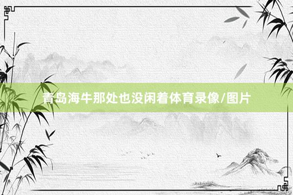 青岛海牛那处也没闲着体育录像/图片