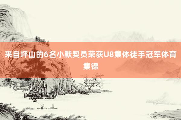 来自坪山的6名小默契员荣获U8集体徒手冠军体育集锦
