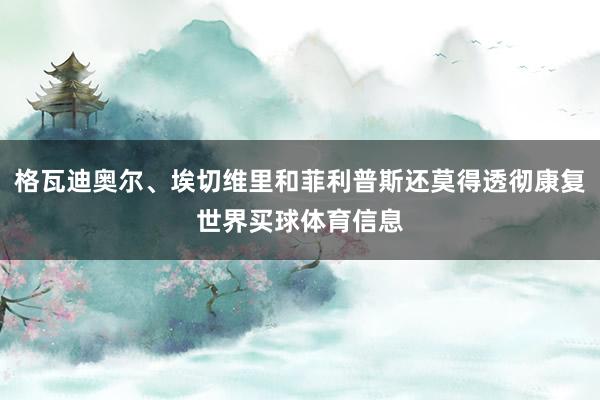 格瓦迪奥尔、埃切维里和菲利普斯还莫得透彻康复世界买球体育信息