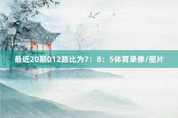最近20期012路比为7：8：5体育录像/图片