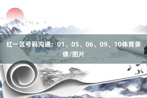 红一区号码沟通:01、05、06、09、10体育录像/图片