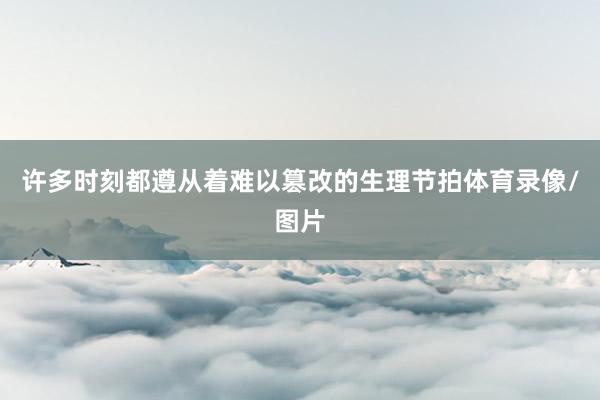 许多时刻都遵从着难以篡改的生理节拍体育录像/图片