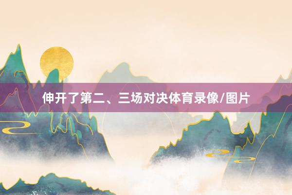 伸开了第二、三场对决体育录像/图片