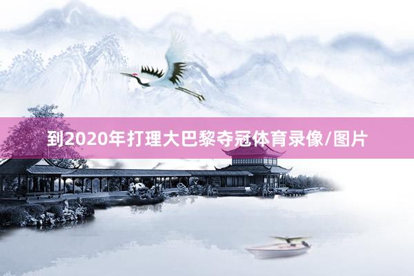 到2020年打理大巴黎夺冠体育录像/图片