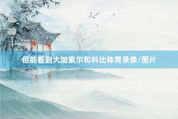 但能看到大加索尔和科比体育录像/图片