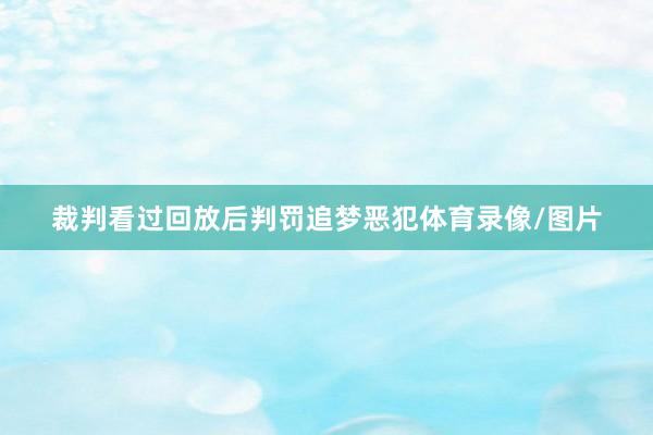 裁判看过回放后判罚追梦恶犯体育录像/图片