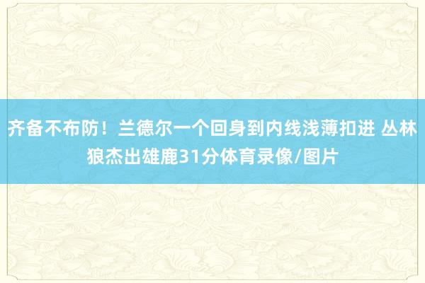 齐备不布防！兰德尔一个回身到内线浅薄扣进 丛林狼杰出雄鹿31分体育录像/图片