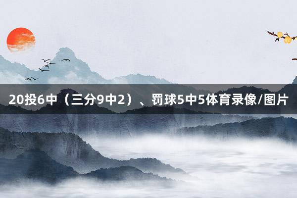 20投6中（三分9中2）、罚球5中5体育录像/图片