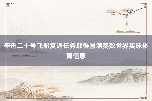 神舟二十号飞船复返任务取得圆满奏效世界买球体育信息