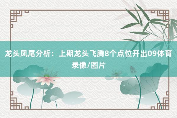 龙头凤尾分析：上期龙头飞腾8个点位开出09体育录像/图片