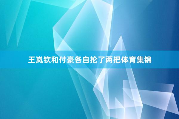 王岚钦和付豪各自抡了两把体育集锦