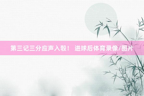 第三记三分应声入彀！ 进球后体育录像/图片