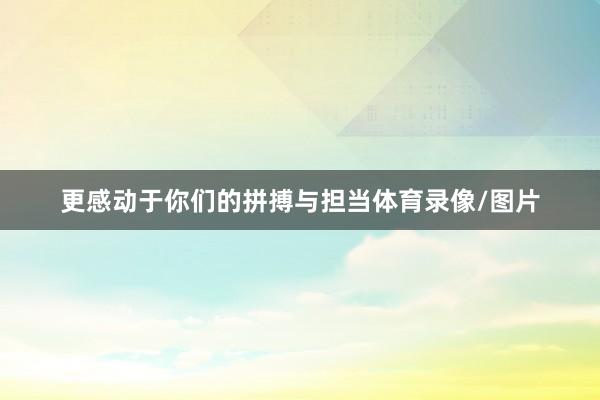 更感动于你们的拼搏与担当体育录像/图片