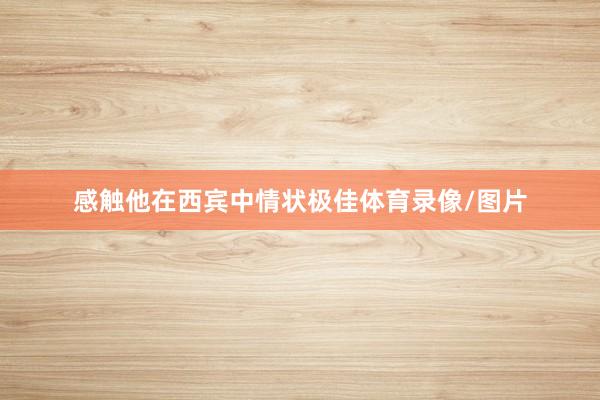感触他在西宾中情状极佳体育录像/图片