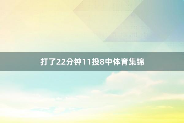 打了22分钟11投8中体育集锦