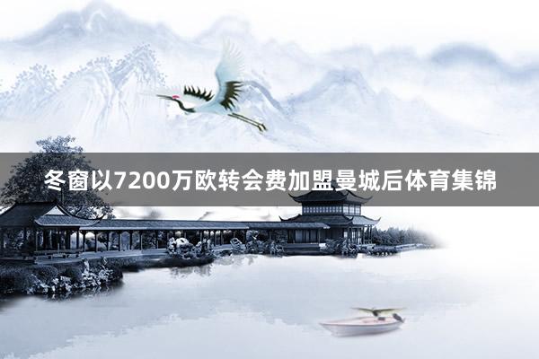 冬窗以7200万欧转会费加盟曼城后体育集锦
