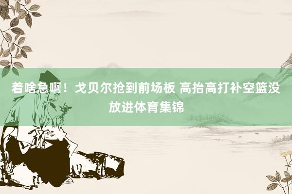 着啥急啊！戈贝尔抢到前场板 高抬高打补空篮没放进体育集锦