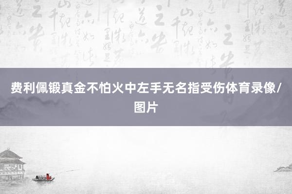 费利佩锻真金不怕火中左手无名指受伤体育录像/图片