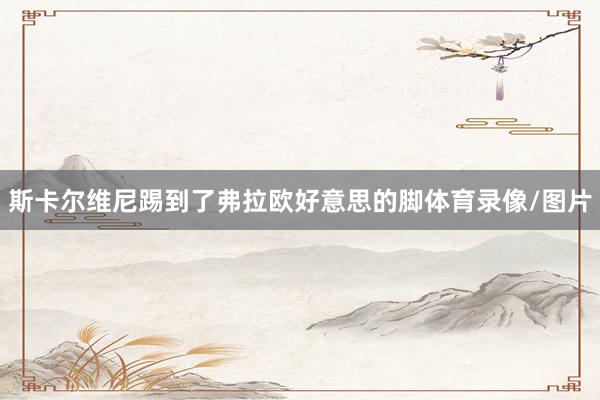 斯卡尔维尼踢到了弗拉欧好意思的脚体育录像/图片