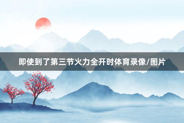 即使到了第三节火力全开时体育录像/图片