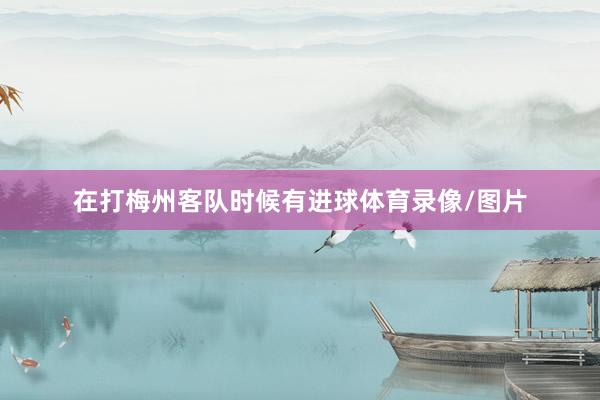 在打梅州客队时候有进球体育录像/图片